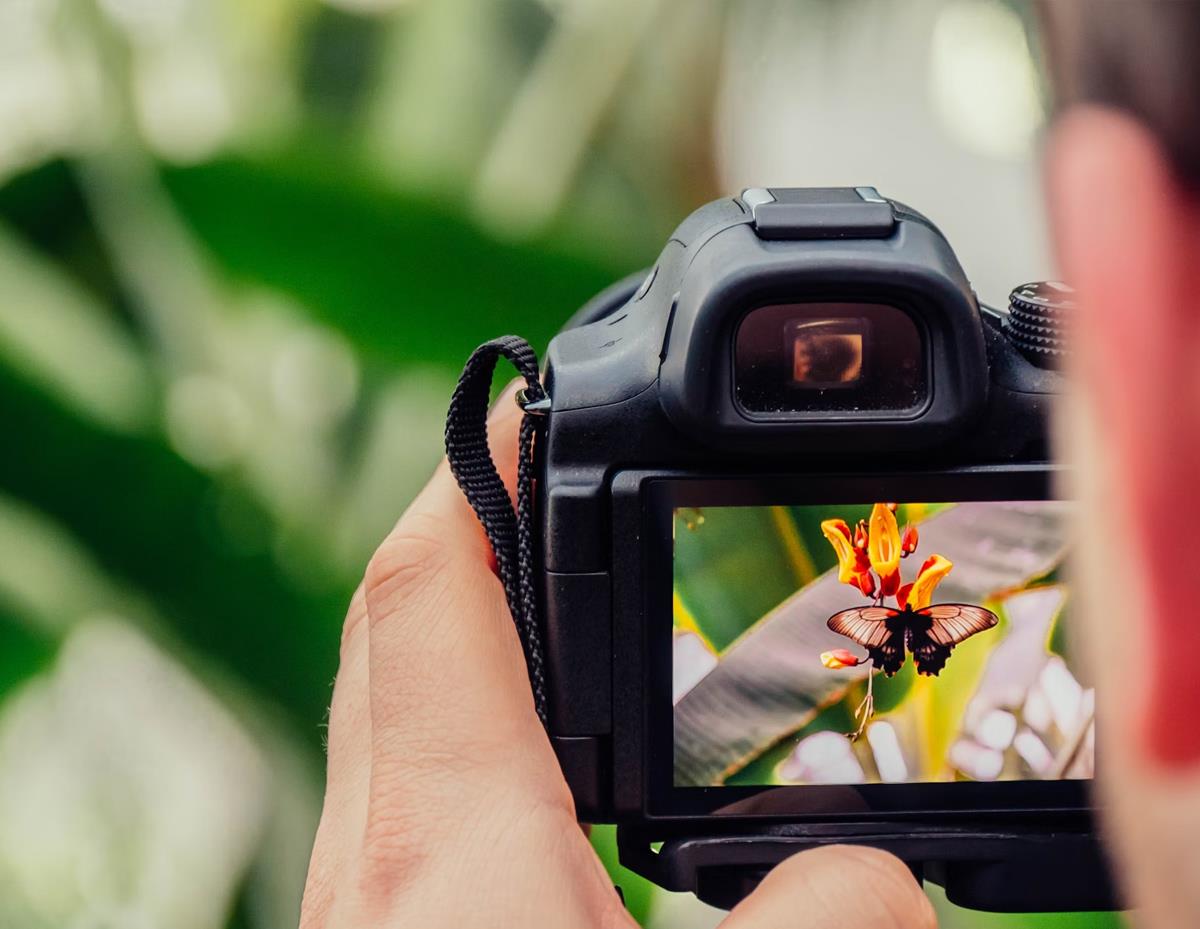 عکس گالری پنجم