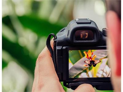 عکس گالری پنجم